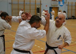 Seminarium Kata i Combat 2018